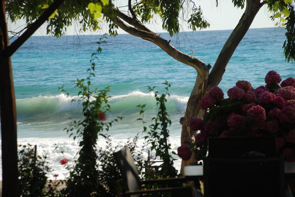 Hotel Cleopatra โคเรฟตอน ภายนอก รูปภาพ